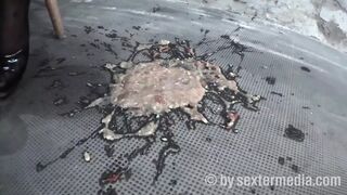 Rough rodeo in a dingy dungeon with a dominant alpha male
