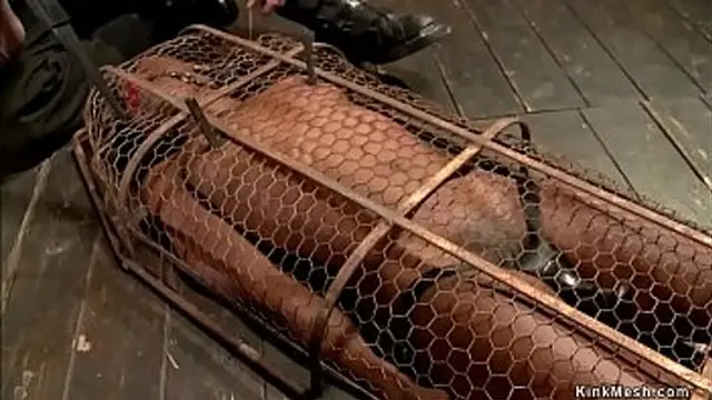Hot ebony slave slut is shackled in back bend device bondage and gets whipped then in small metal cage gets intense pussy vibrated by master